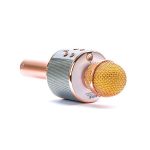 میکروفون اسپیکر دار وستر WSTER microphone speaker wireless model WS-858 - Image 4