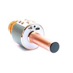 میکروفون اسپیکر دار وستر WSTER microphone speaker wireless model WS-858 - Image 5