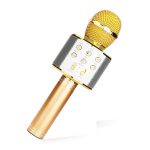 میکروفون اسپیکر دار وستر WSTER microphone speaker wireless model WS-858 - Image 7