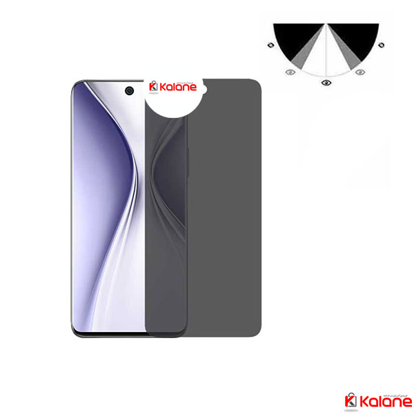محافظ صفحه هواوی Huawei Honor X20 SE مدل Nano Privacy