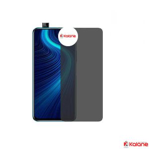 محافظ صفحه هواوی Huawei Honor X10 مدل Nano Privacy