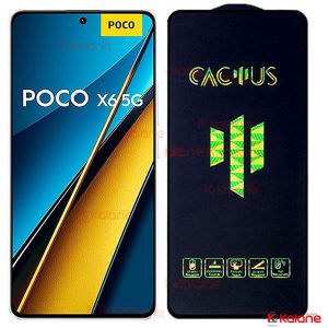 گلس Xiaomi Poco X6 مدل Cactus